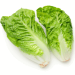 Organic Lettuce - Cos Mini Twin Pack