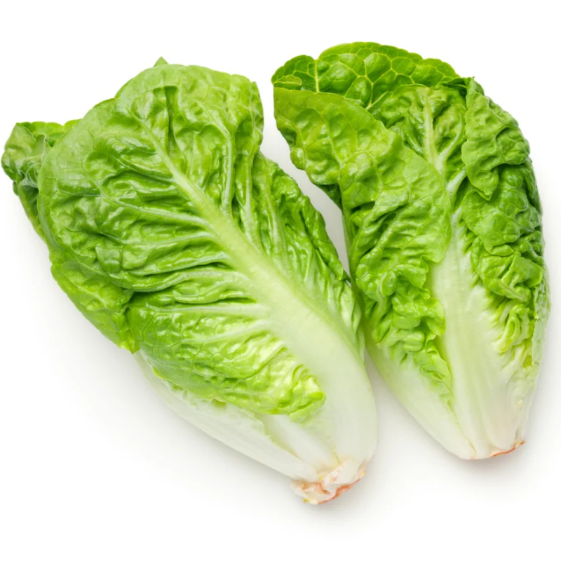 Organic Lettuce Cos Mini Twin Pack