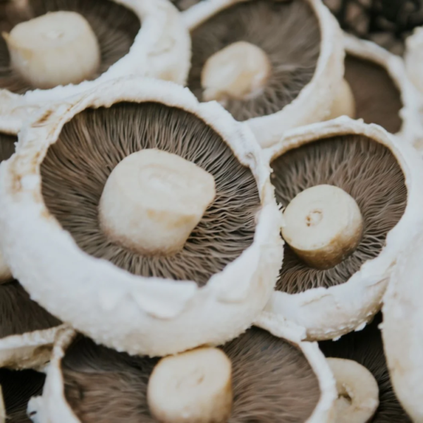 Image showing Brown Flat Portobello Mushrooms 375g Punnet