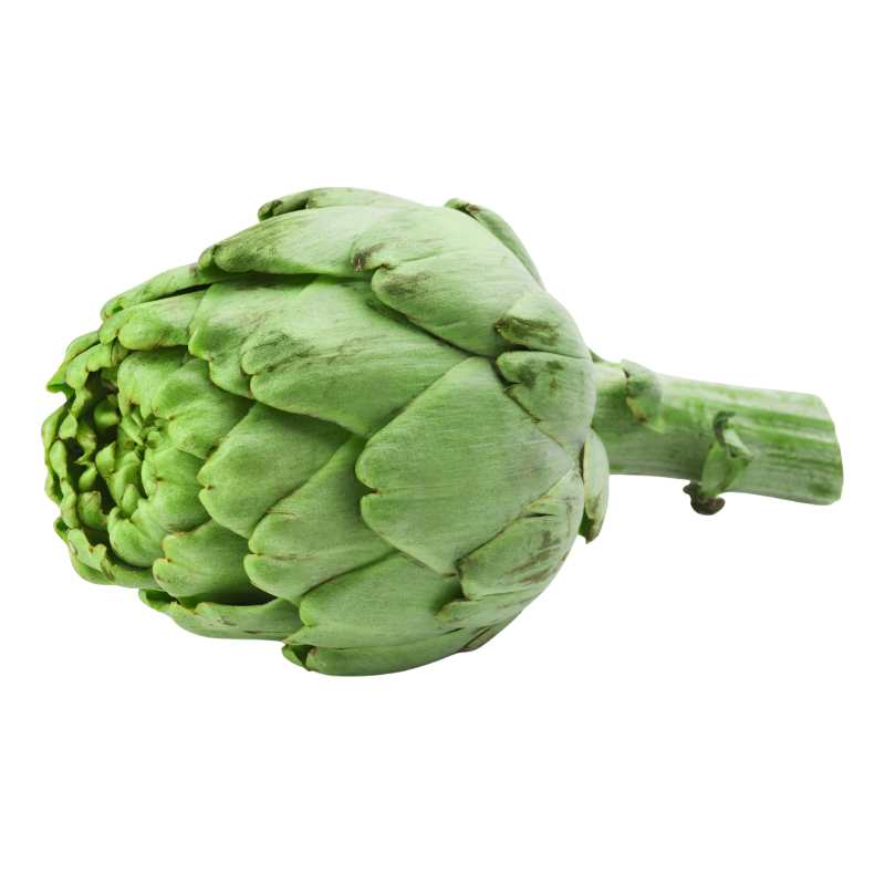 Organic Artichoke – Globe (small/each)