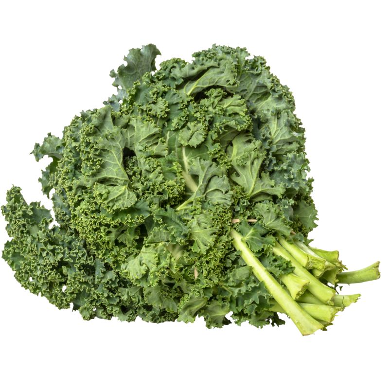 Organic Kale Bunch