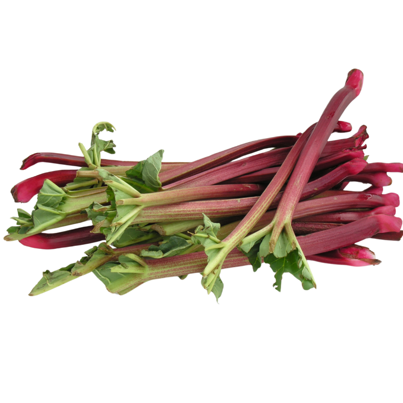 Organic Rhubarb – Bunch