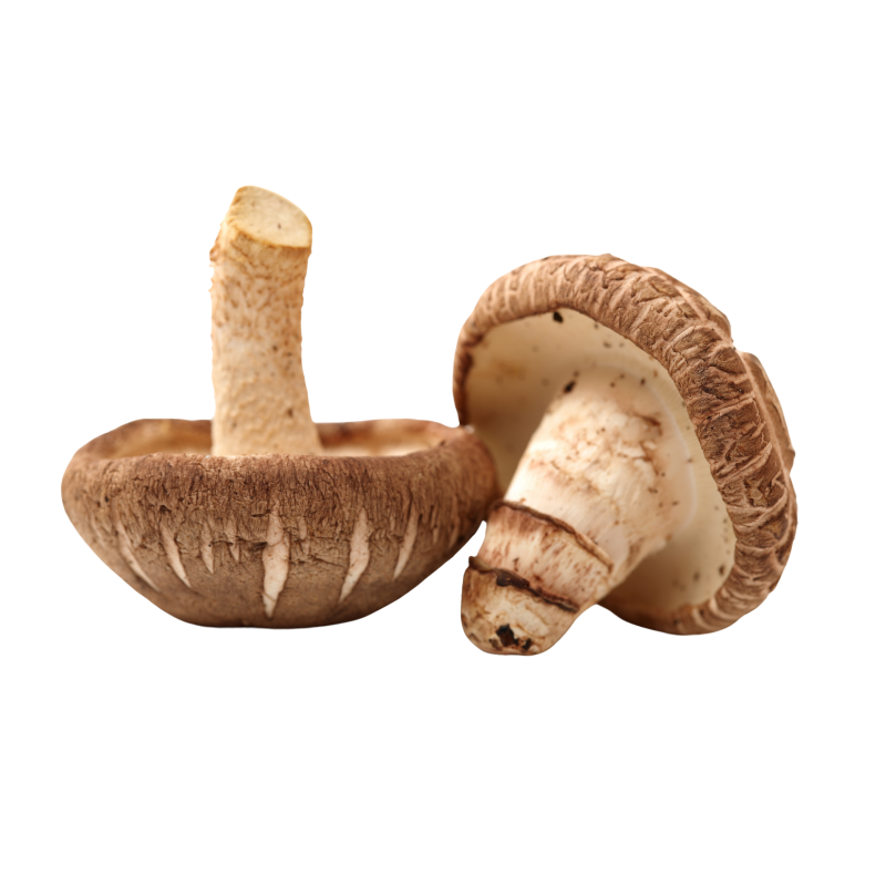 Organic Mushrooms – Shiitake 100g Punnett