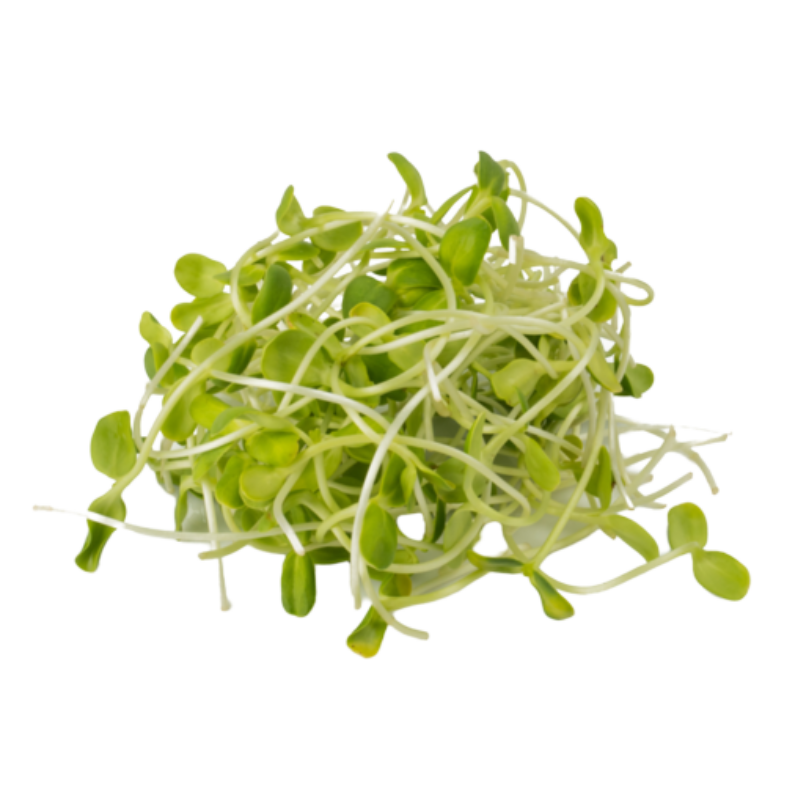 Organic Sprouts – Sunflower 100g