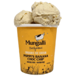 Biodynamic Banana Choc MintIce Cream 475