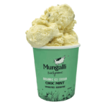 Biodynamic Choc Mint Ice Cream 475
