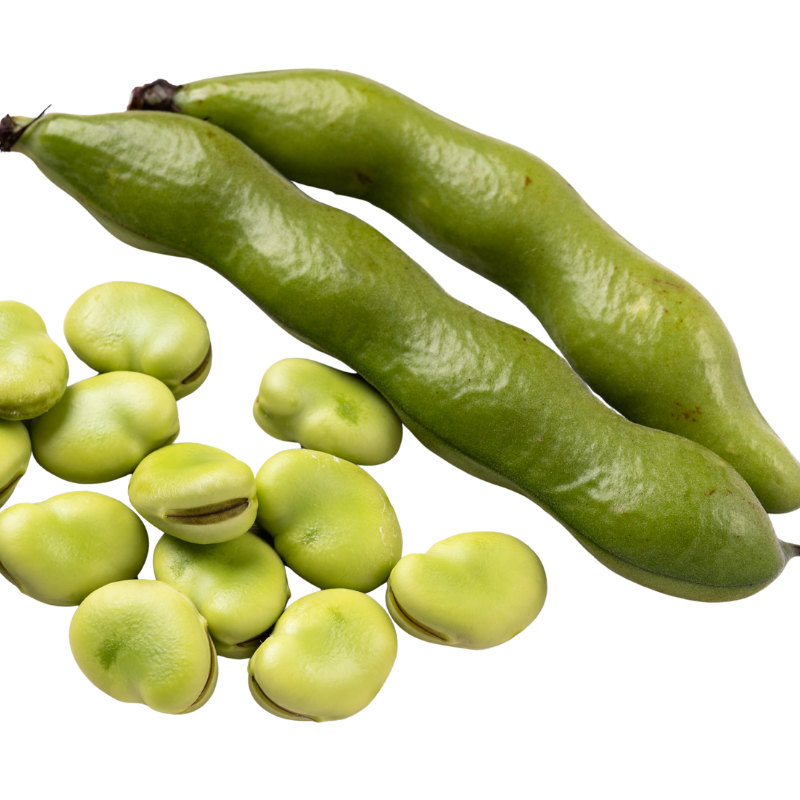 Organic Beans – Broad 500g